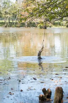 好球彩票品牌图示